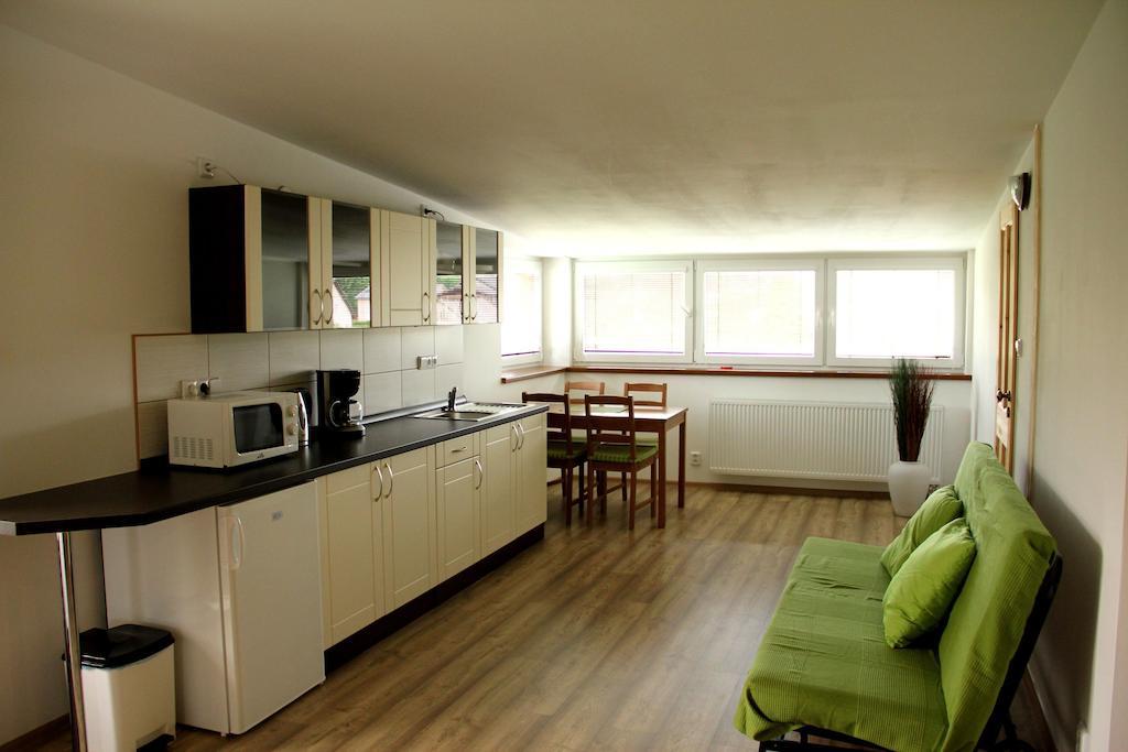 Apartment Stara Sokolovna